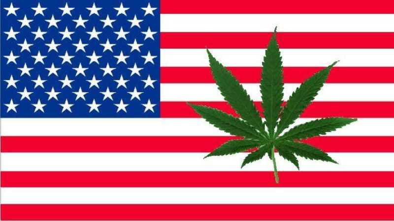 Legalization of cannabis in States