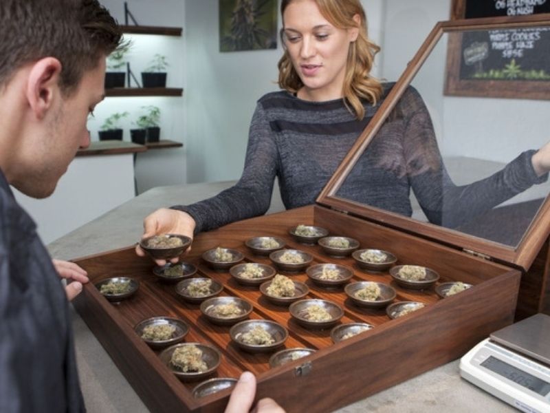 Cannabis Sommelier