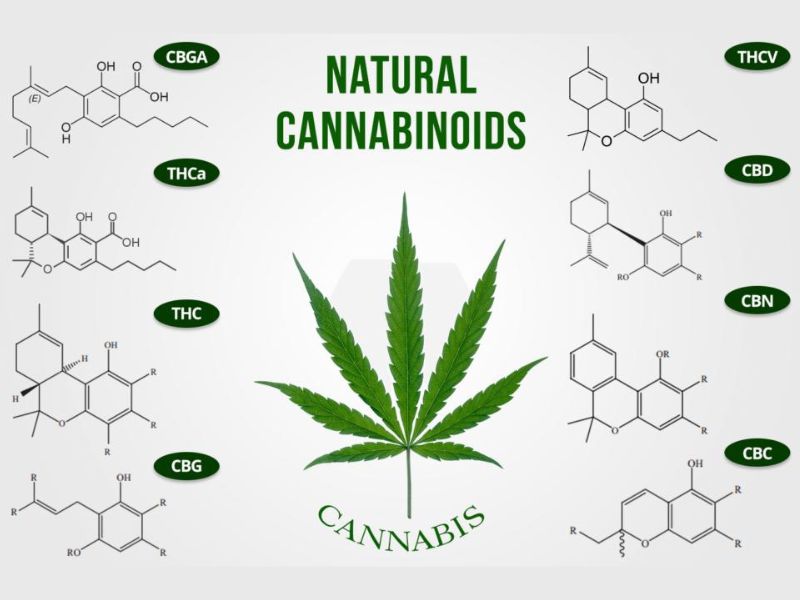 Cannabinoids